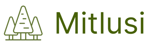 mitlusi.com